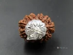 12 Mukhi Rudraksha