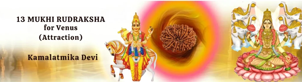 13 MUKHI RUDRAKSHA banner