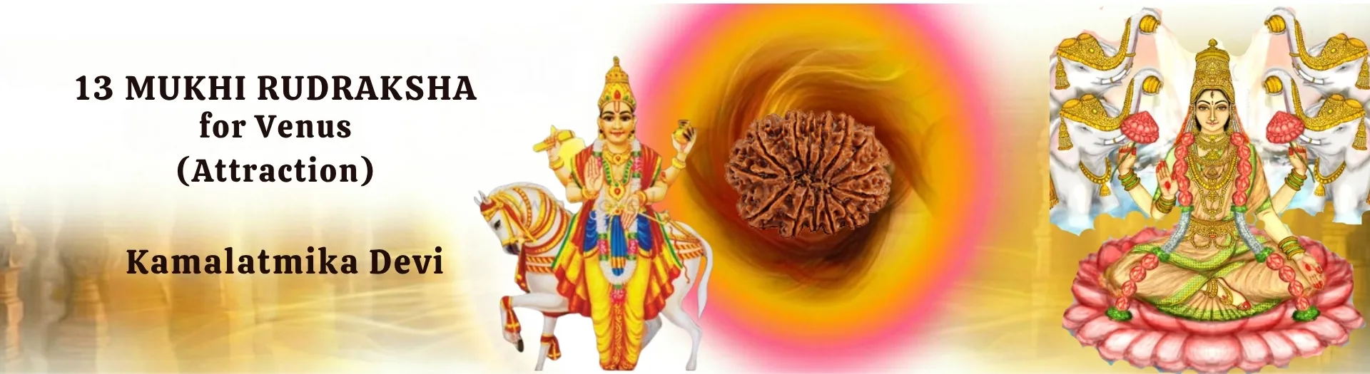 13 MUKHI RUDRAKSHA