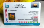 13 Mukhi Certificate