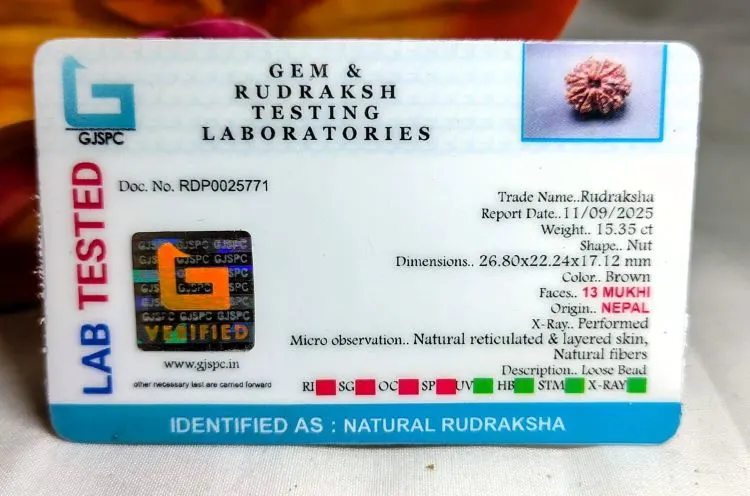 13 Mukhi Certificate