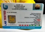 13 Mukhi Certificate