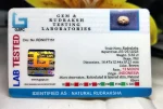 13 Mukhi Certificate