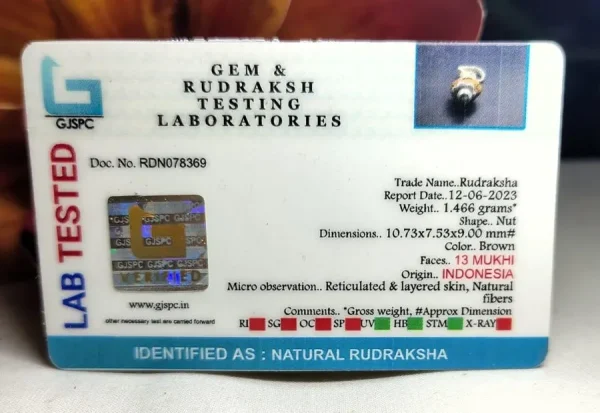 13 Mukhi Certificate