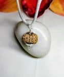 13 Mukhi Rudraksha