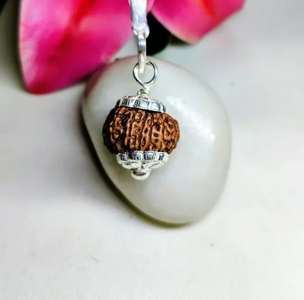 13 Mukhi Rudraksha