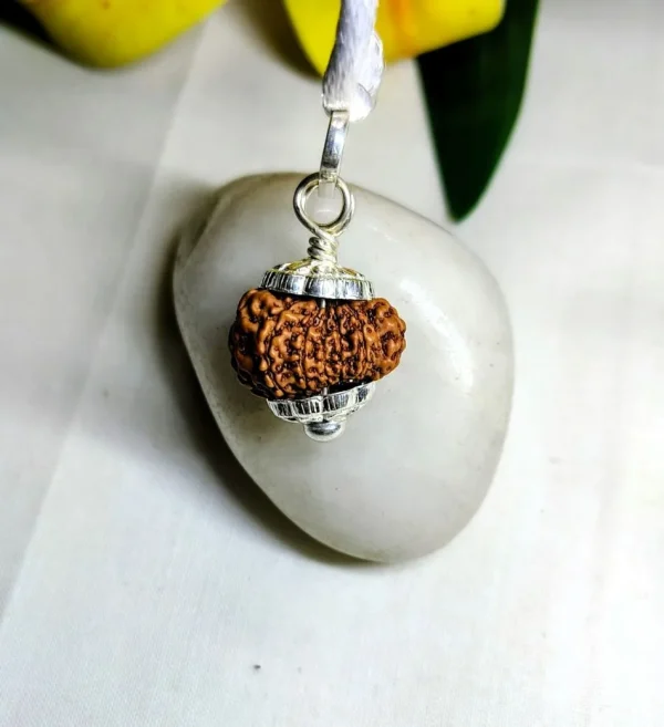 13 Mukhi Rudraksha
