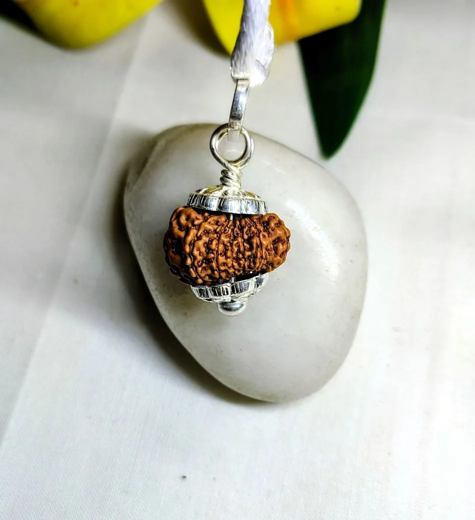 13 Mukhi Rudraksha