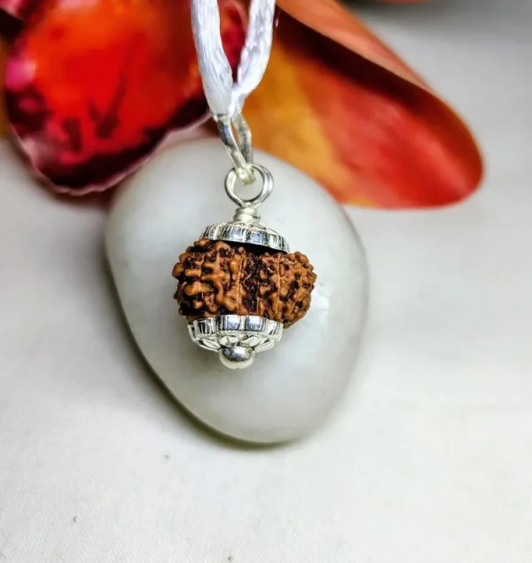 13 Mukhi Rudraksha