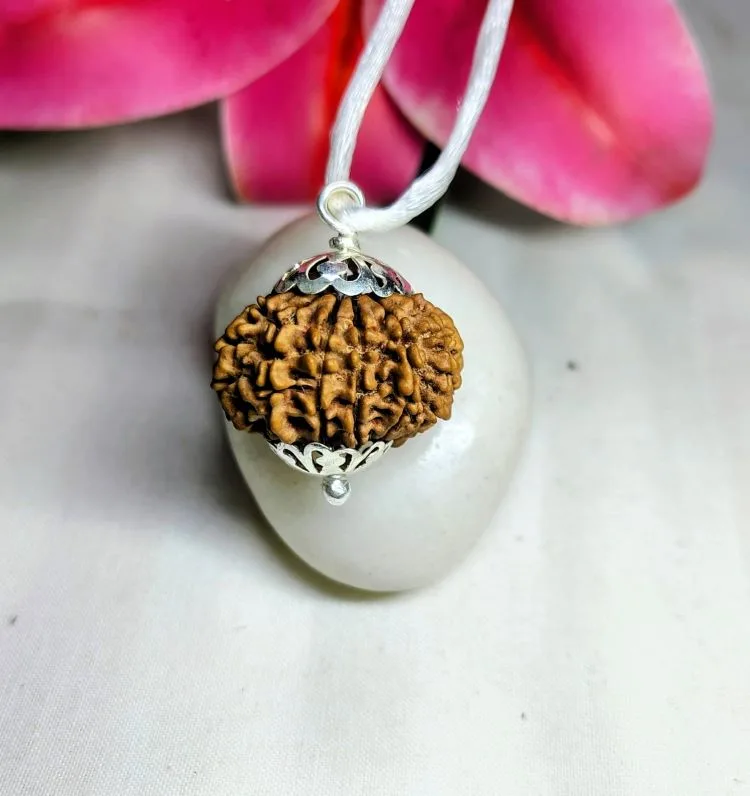 13 Mukhi Rudraksha