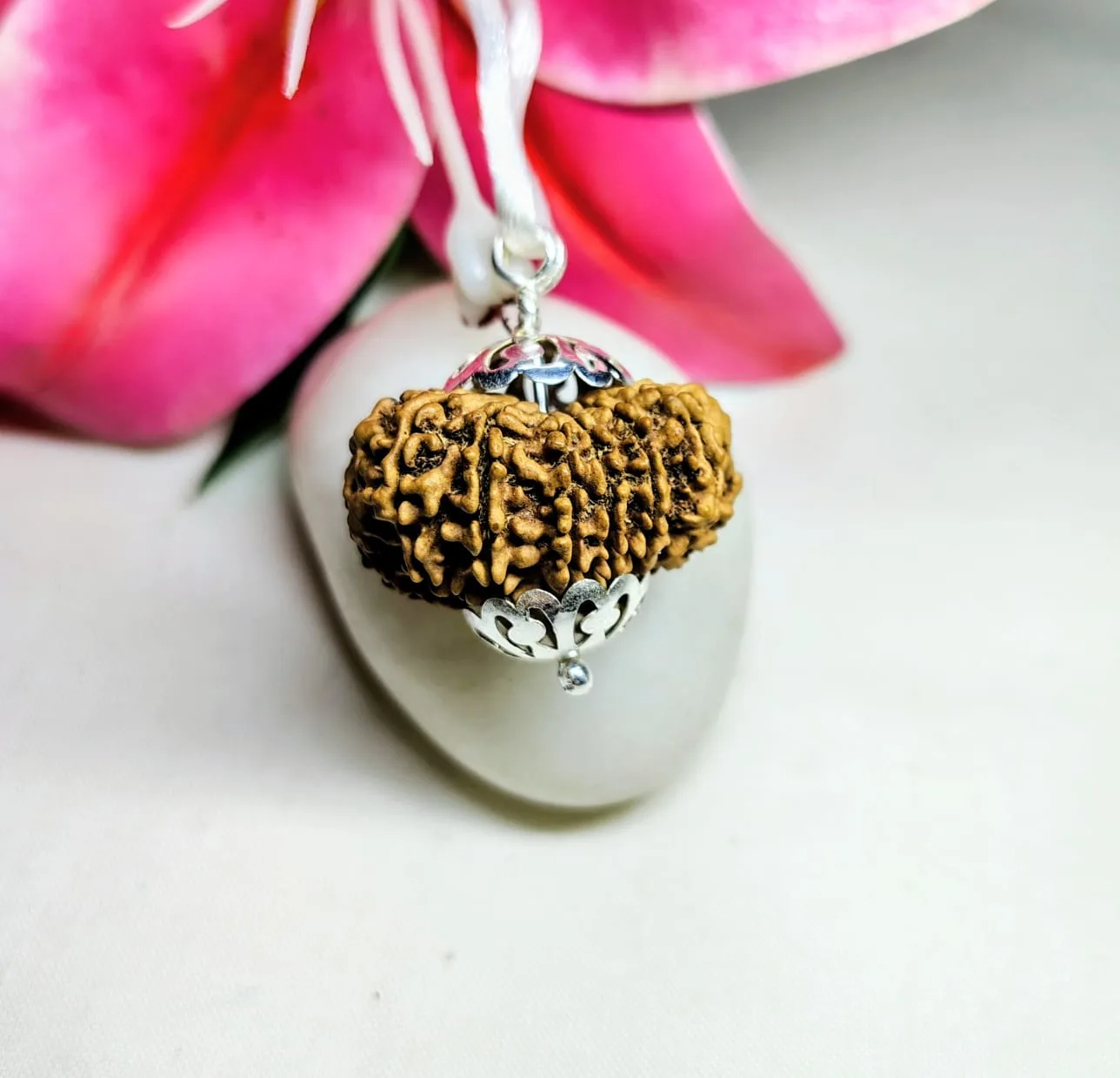 13 Mukhi Rudraksha