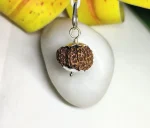 13 Mukhi Rudraksha