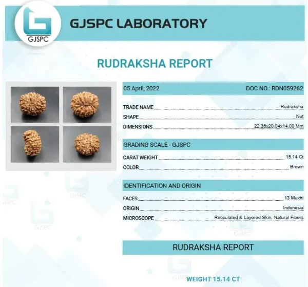 13 Mukhi Certificate