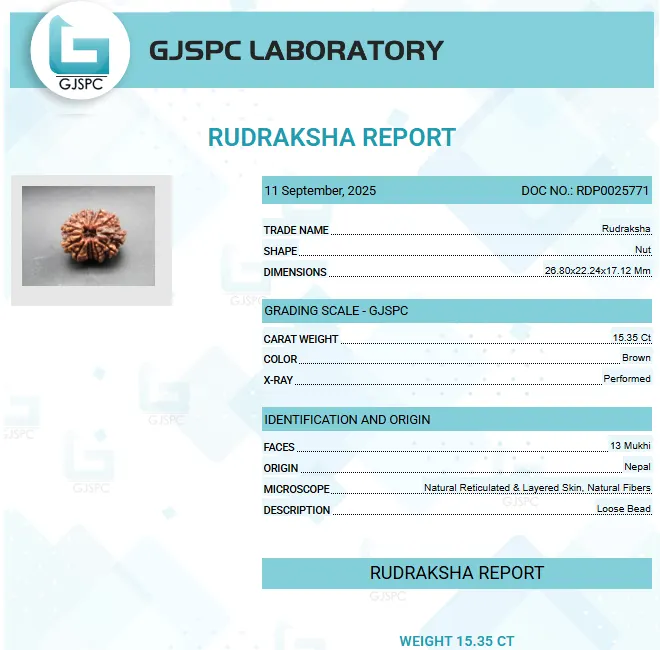 13 Mukhi Certificate