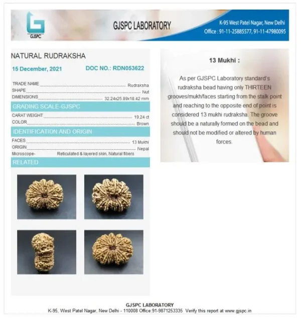 13 Mukhi Certificate