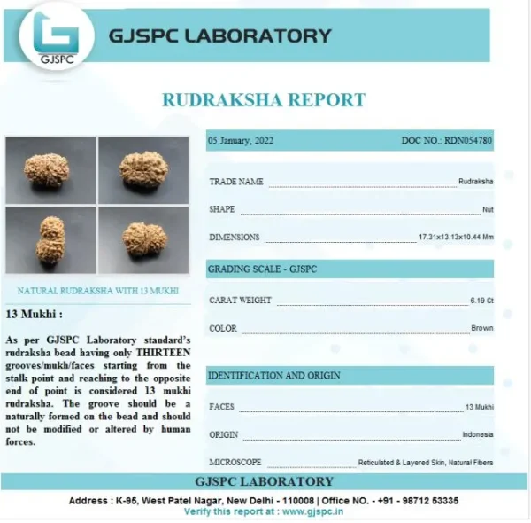 13 Mukhi Certificate