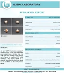 13 Mukhi Certificate
