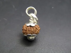 13 Mukhi Rudraksha