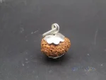 13 Mukhi Rudraksha