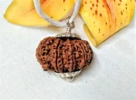 13 Mukhi Rudraksha