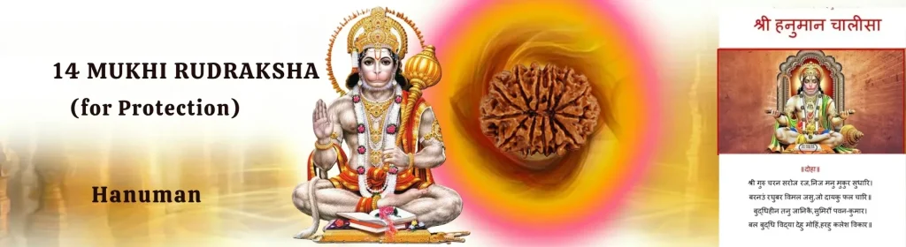 14 MUKHI RUDRAKSHA