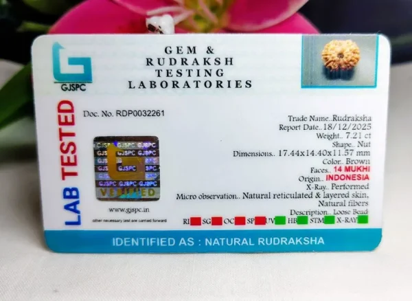 14 Mukhi Certificate