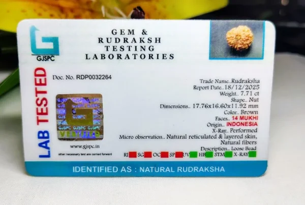 14 Mukhi Certificate