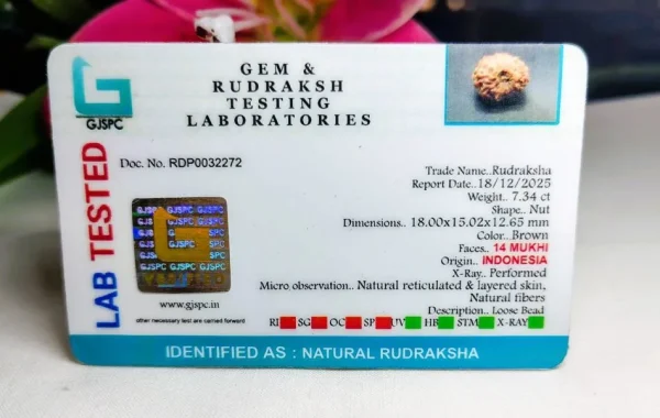 14 Mukhi Certificate