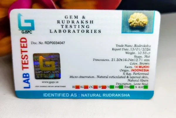 14 Mukhi Certificate