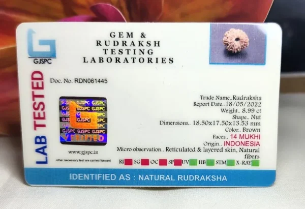 14 Mukhi Certificate