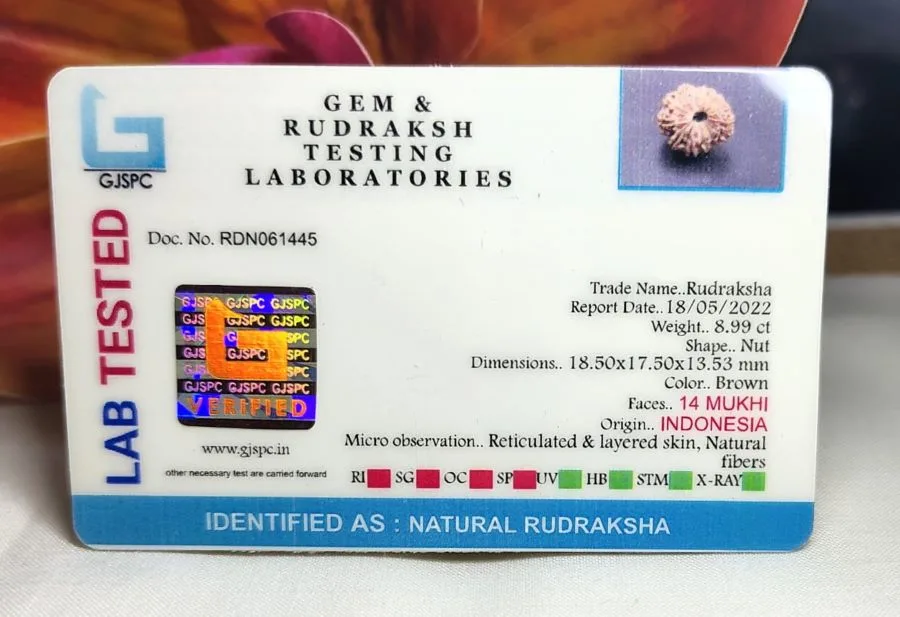 14 Mukhi Certificate
