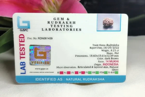 14 Mukhi Certificate