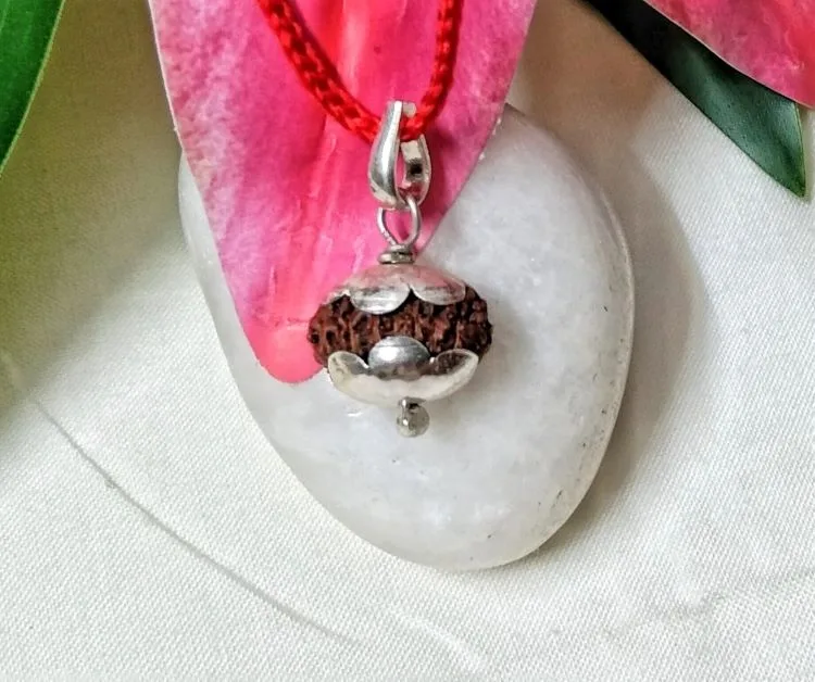 14 Mukhi Rudraksha