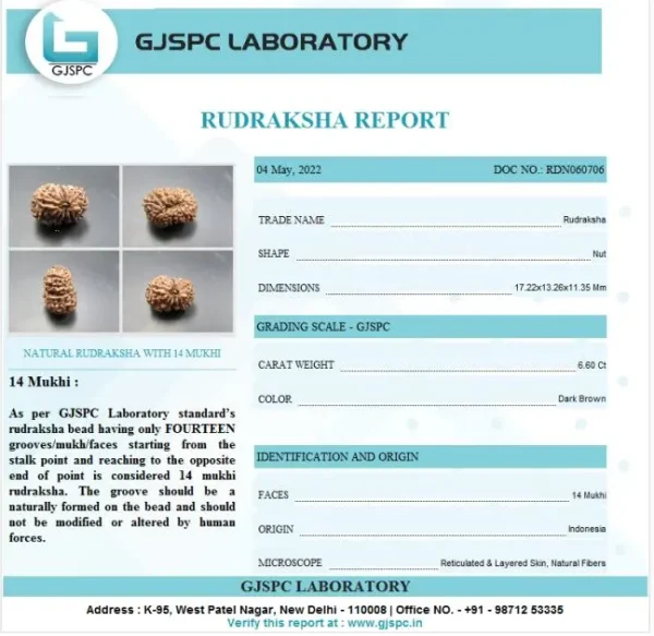 14 Mukhi Certificate