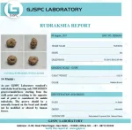 14 Mukhi Certificate