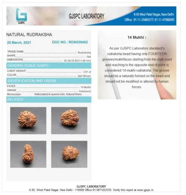 14 Mukhi Certificate