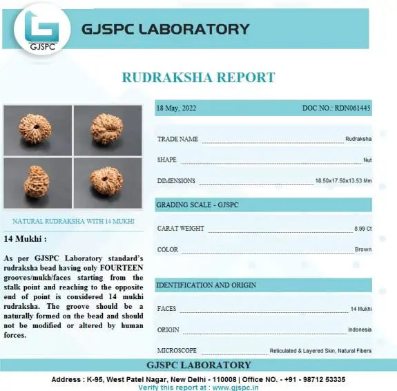 14 Mukhi Certificate