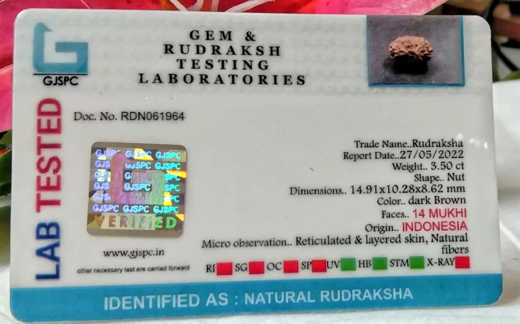14 Mukhi Certificate