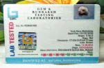 14 Mukhi Certificate