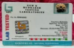 15 Mukhi Certificate