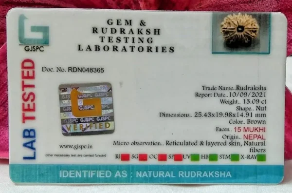 15 Mukhi Certificate