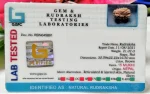 15 Mukhi Certificate