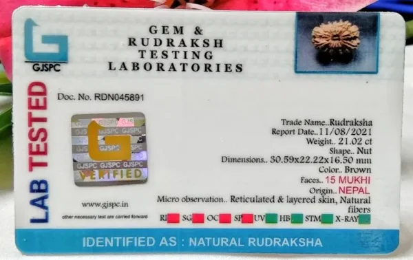 15 Mukhi Certificate