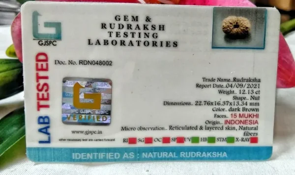 15 Mukhi Certificate