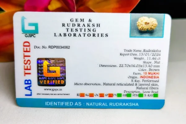 15 Mukhi Certificate
