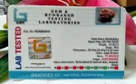 15 Mukhi Certificate