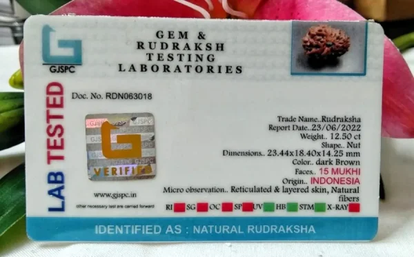 15 Mukhi Certificate