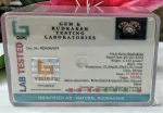 15 Mukhi Certificate