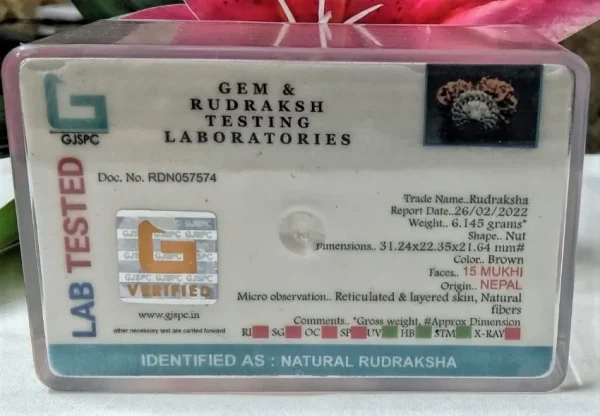 15 Mukhi Certificate