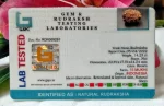 15 Mukhi Certificate